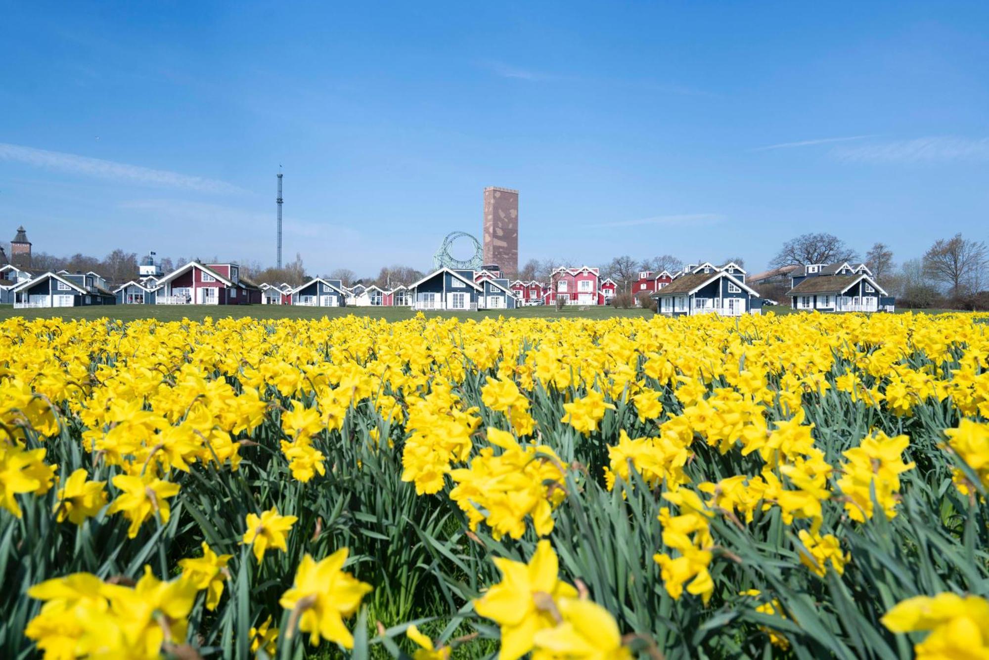 Strandpark Sierksdorf H056 外观 照片